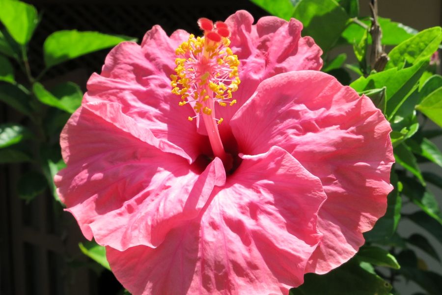 92. photo gallery.JPG